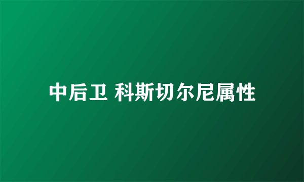中后卫 科斯切尔尼属性