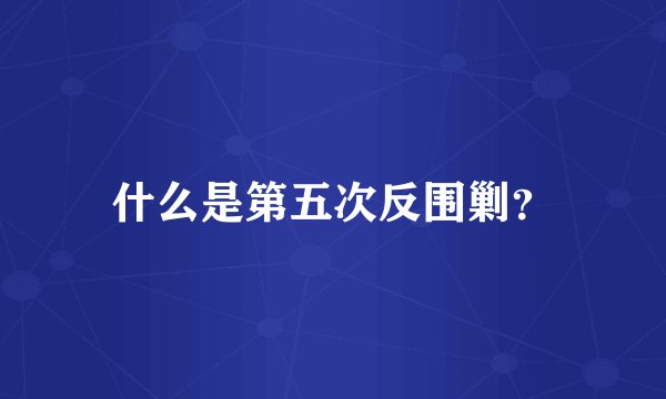 什么是第五次反围剿？