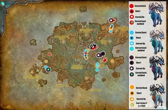 魔兽世界9.0猎人宠物排行攻略