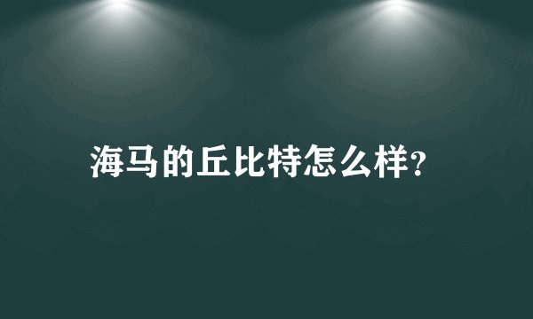 海马的丘比特怎么样？