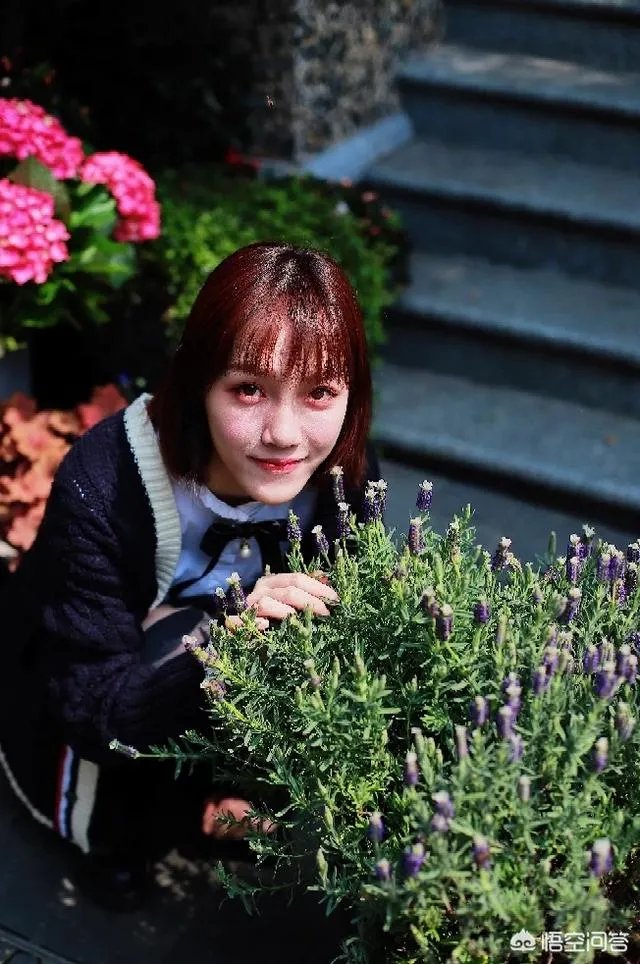 杭州的太子湾公园好玩吗？是否值得周末去玩？