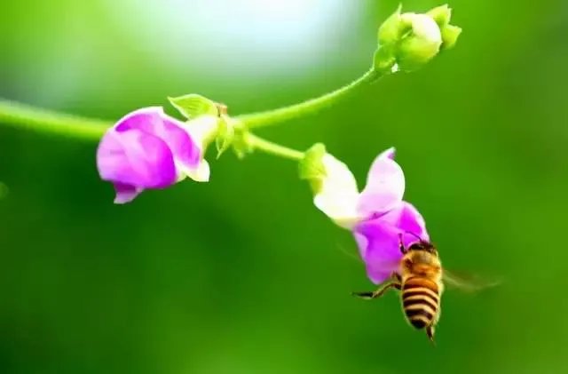 上联：雨梳冬风丝丝凉，如何对下联？