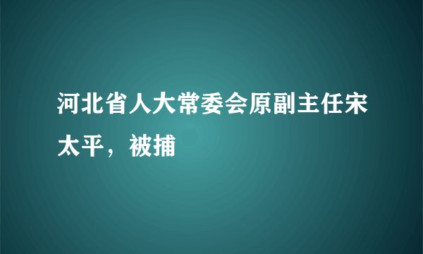 河北省人大常委会原副主任宋太平，被捕