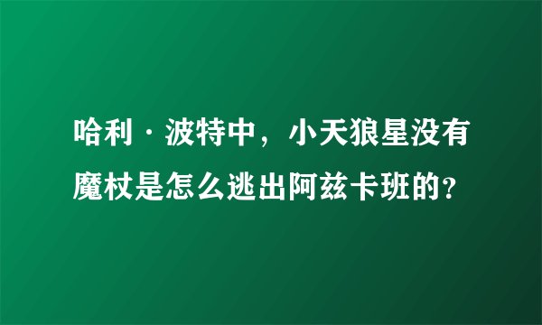 哈利·波特中，小天狼星没有魔杖是怎么逃出阿兹卡班的？