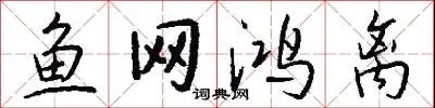 鱼网鸿离