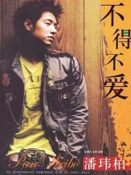 天天都需要你，爱我的心思由你猜……这是潘玮柏的哪首歌啊？