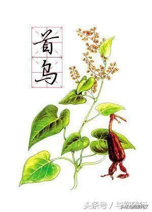 大半个月前我发文说人民币兑美元两周内由升变贬。你相信了吗？