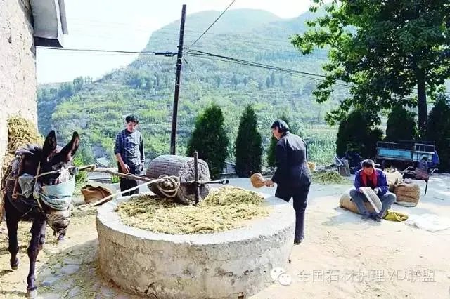 说石材辐射大，看广场舞大妈如何骂你神经病！