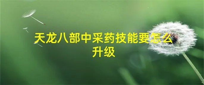 天龙八部中采药技能要怎么升级