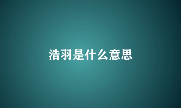 浩羽是什么意思