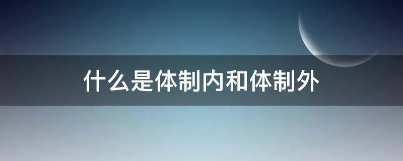 什么是体制内和体制外
