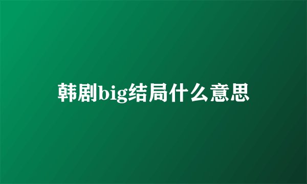 韩剧big结局什么意思