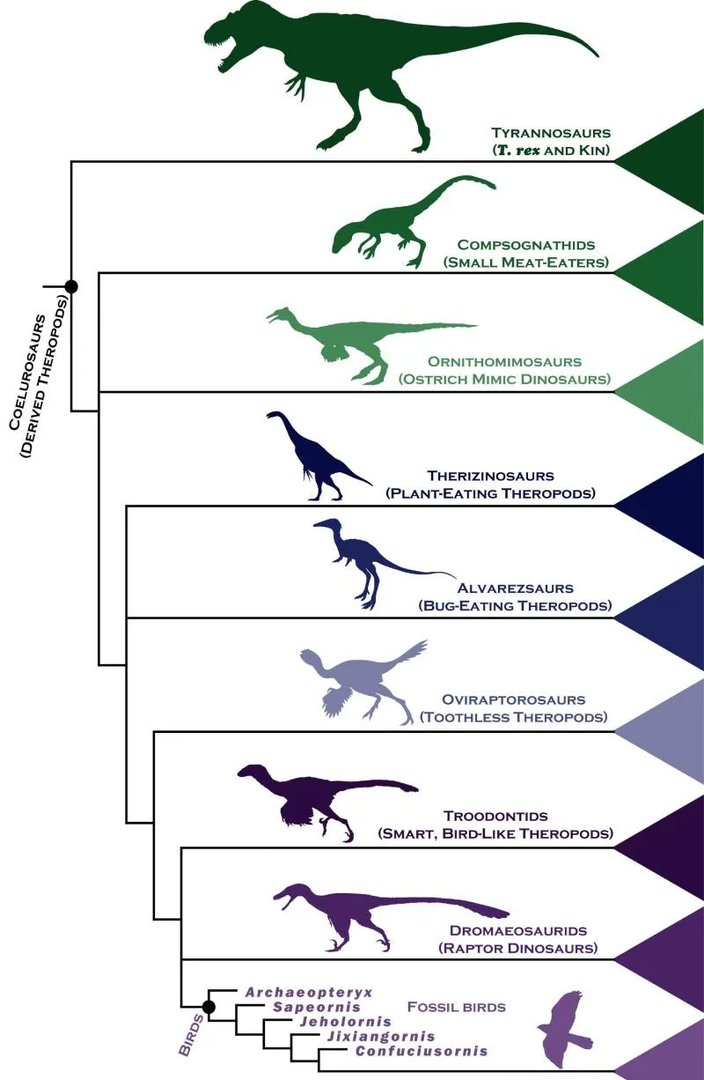 长白山天池与尼斯湖的水怪是不是恐龙的后代？