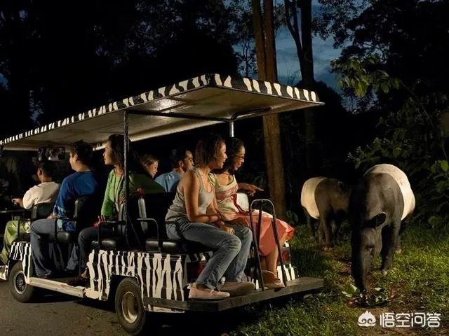 去新加坡旅游，一定不能错过的旅游景点有哪些？