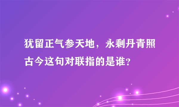 犹留正气参天地，永剩丹青照古今这句对联指的是谁？