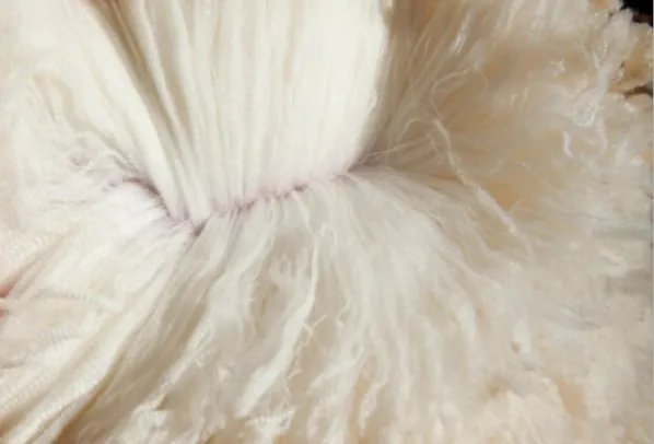 羊驼毛和羊毛哪个好