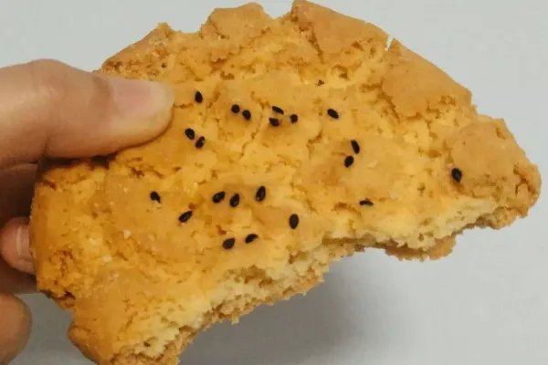 鲍师傅糕点怎么样？