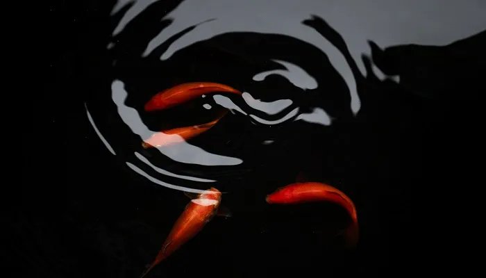 鱼钩十大品牌排行榜 鱼钩的品牌排行榜