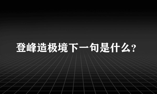 登峰造极境下一句是什么？