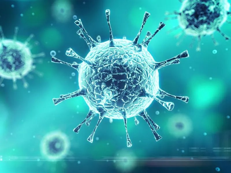 如何正确对待炭疽病毒