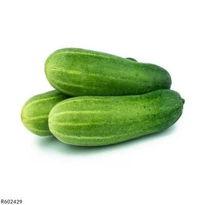 可以清热解毒的食物有哪些