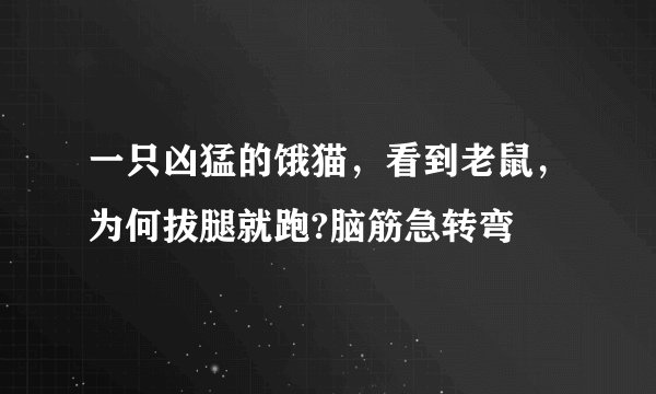 一只凶猛的饿猫，看到老鼠，为何拔腿就跑?脑筋急转弯