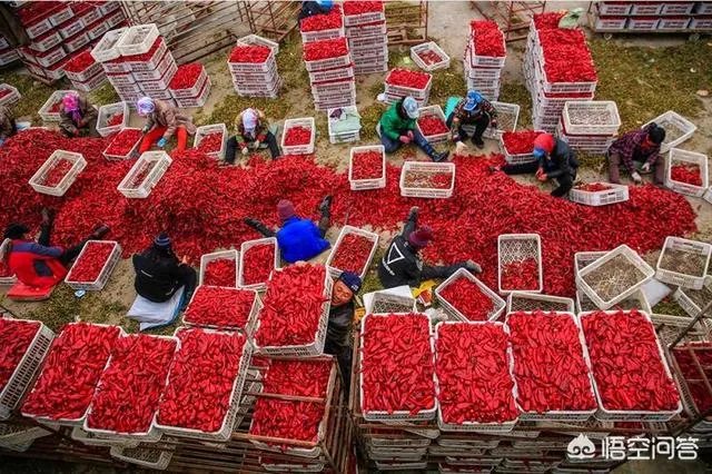 吉林省洮南市怎么样？