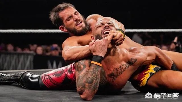 目前WWE技术一流的选手有哪些？