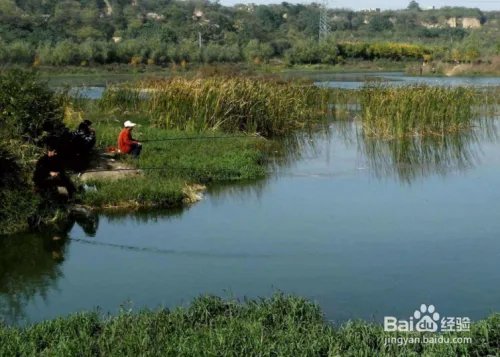 怎样才能野钓到大鱼？野外垂钓大鱼注意事项