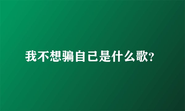我不想骗自己是什么歌？