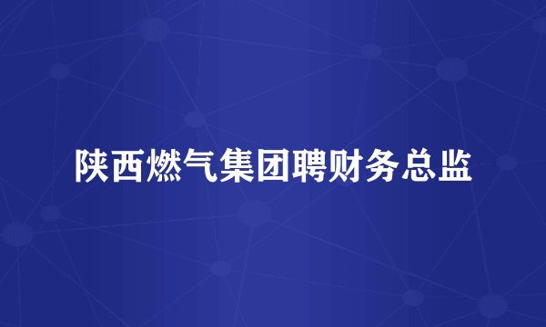 陕西燃气集团聘财务总监