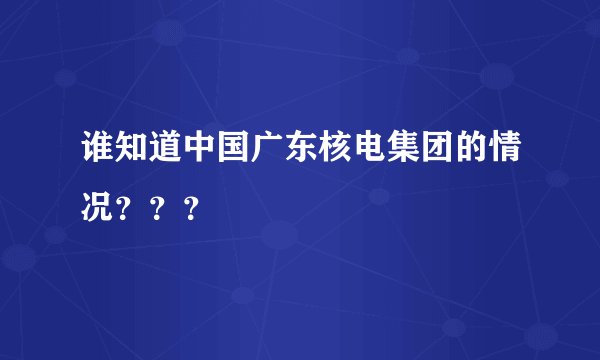 谁知道中国广东核电集团的情况？？？