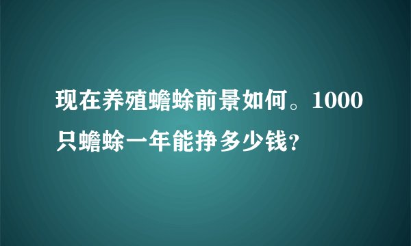 现在养殖蟾蜍前景如何。1000只蟾蜍一年能挣多少钱？