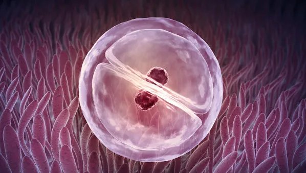 白细胞低吃什么