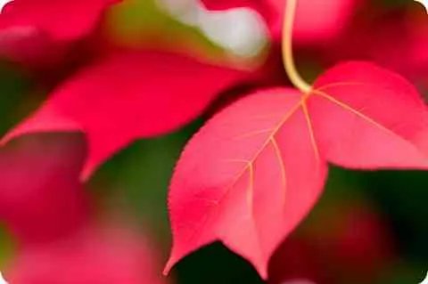 韩国人名字怎么很像中国人的