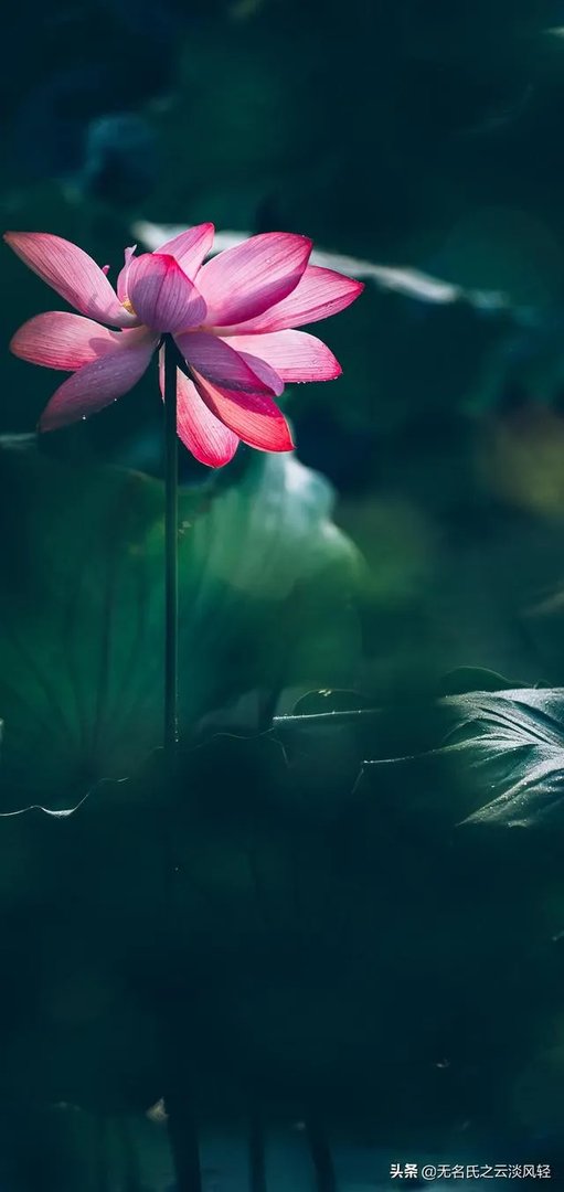 电商在线客服岗位有前途吗？