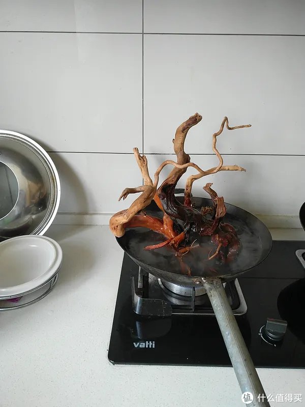 造景 篇一：小白也能玩草缸—聊一聊我的水草缸造景历程