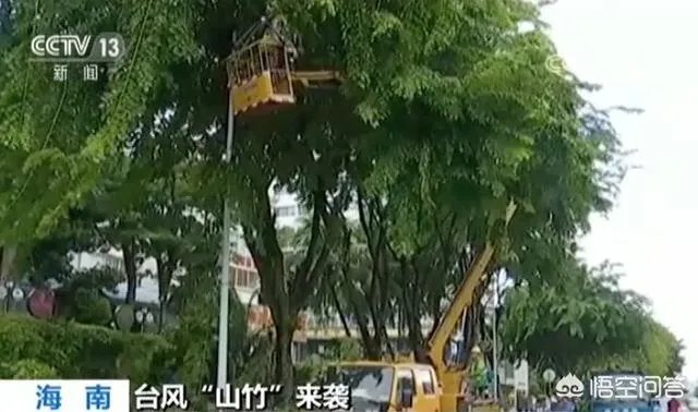 超强台风“山竹”突然来袭，作为普通民众应该怎样应对？