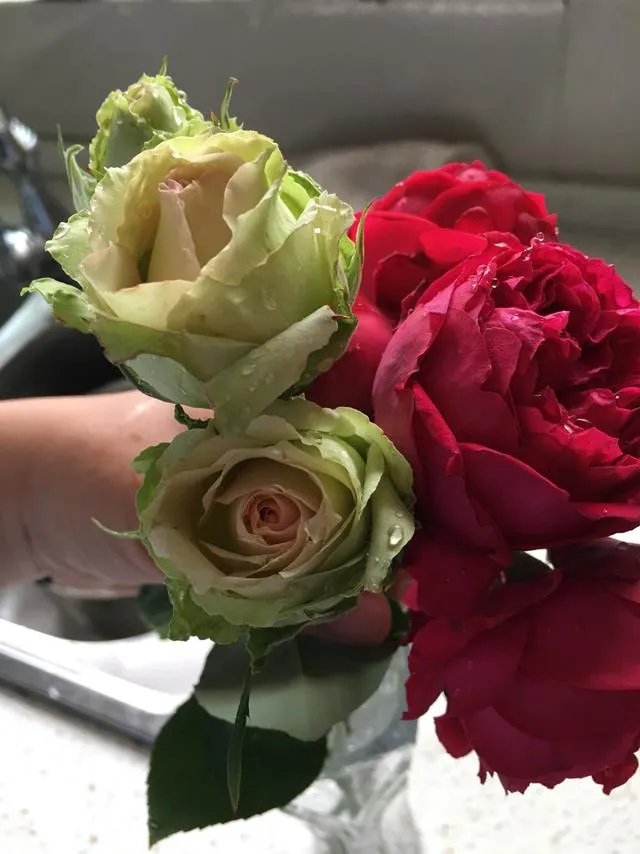 为什么很多人都说“千万不要买宿迁的花”？