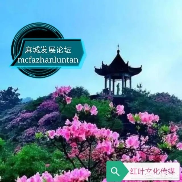 麻城发展论坛是干什么的？