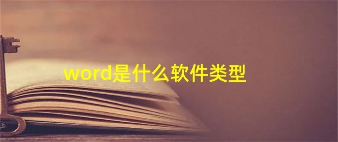 word是什么软件类型