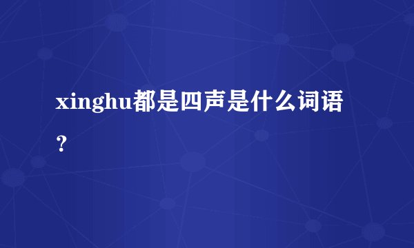 xinghu都是四声是什么词语？