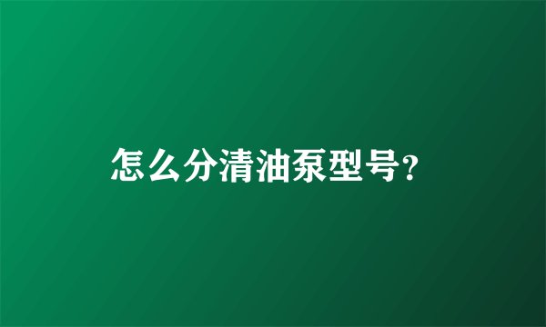 怎么分清油泵型号？