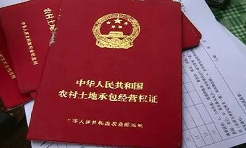 网上如何查询土地证