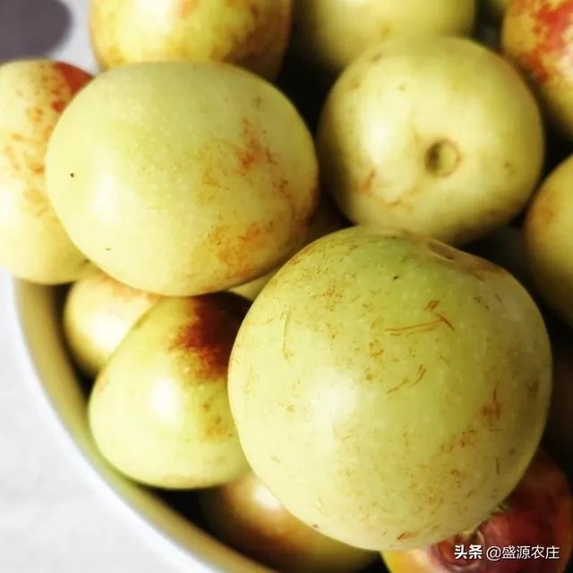 现在冬枣价格多少钱一斤？南方种植冬枣的前景如何？