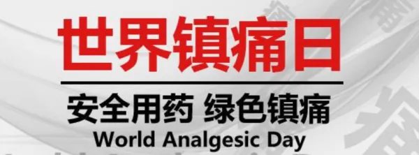 历年世界镇痛日的主题各是什么？