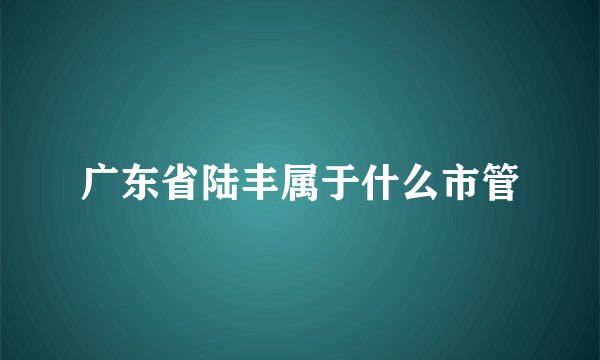 广东省陆丰属于什么市管