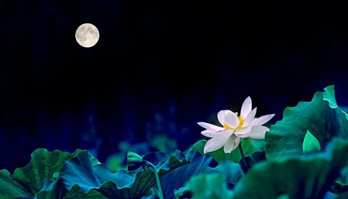 十二星座是按农历还是阳历 十二星座是按农历还是阳历来计算