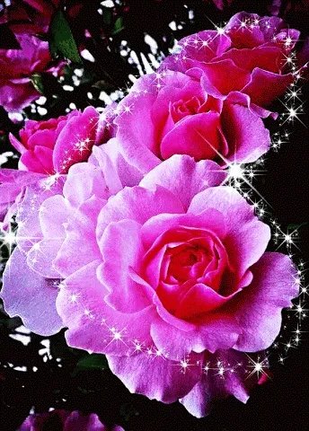 最好看的古装剧都有哪些？