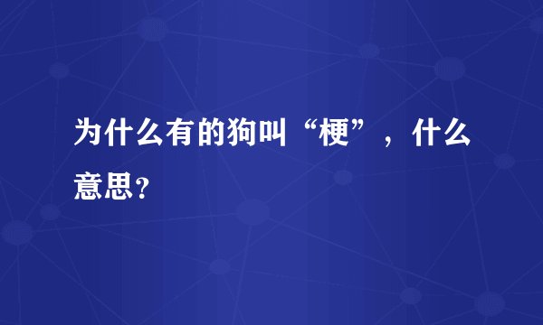 为什么有的狗叫“梗”，什么意思？